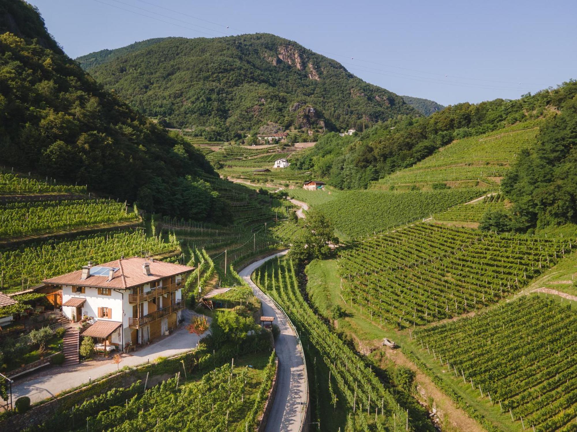 Agriturismo Valfraja Cembra Lisignago Ngoại thất bức ảnh