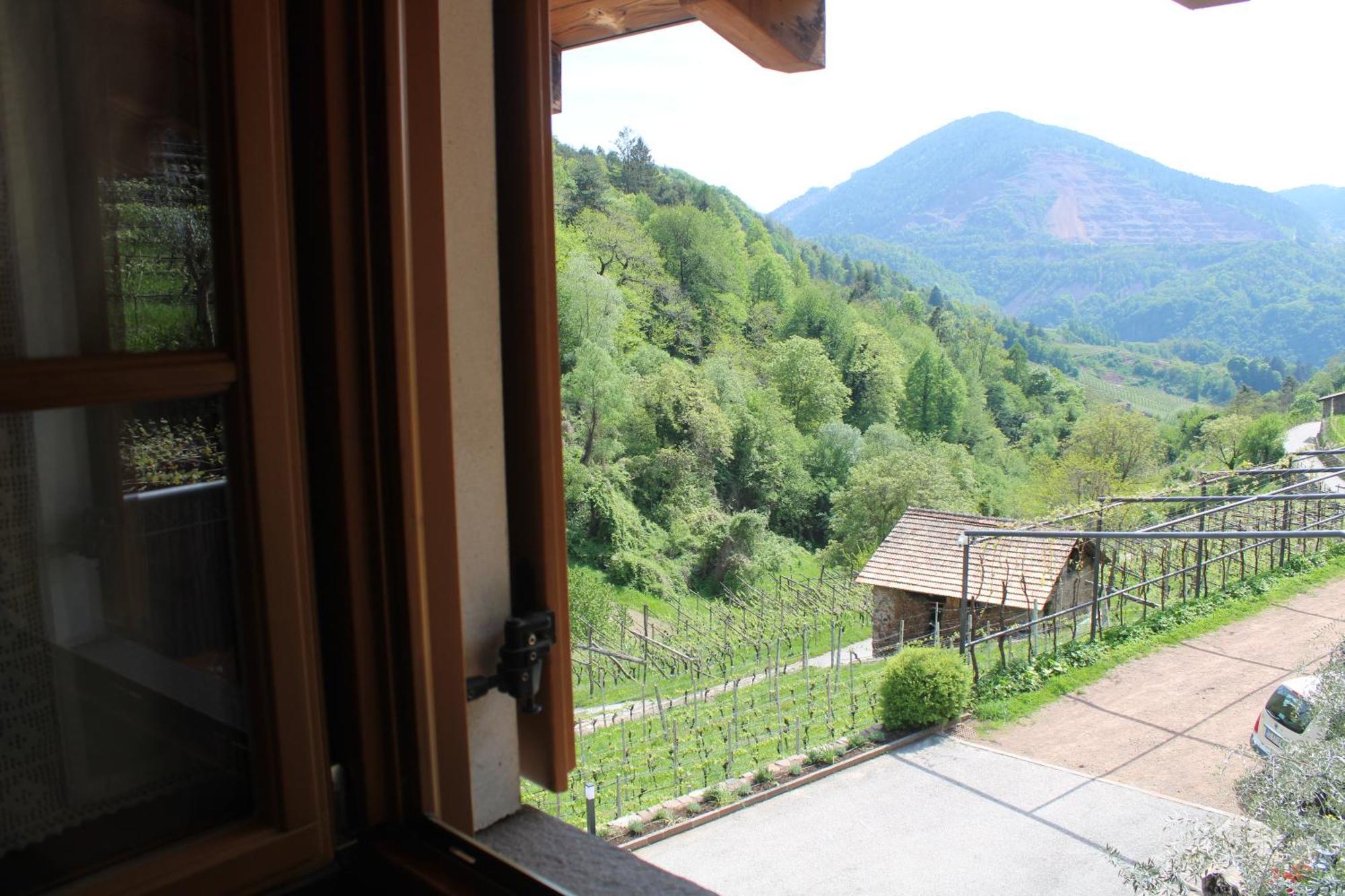 Agriturismo Valfraja Cembra Lisignago Ngoại thất bức ảnh