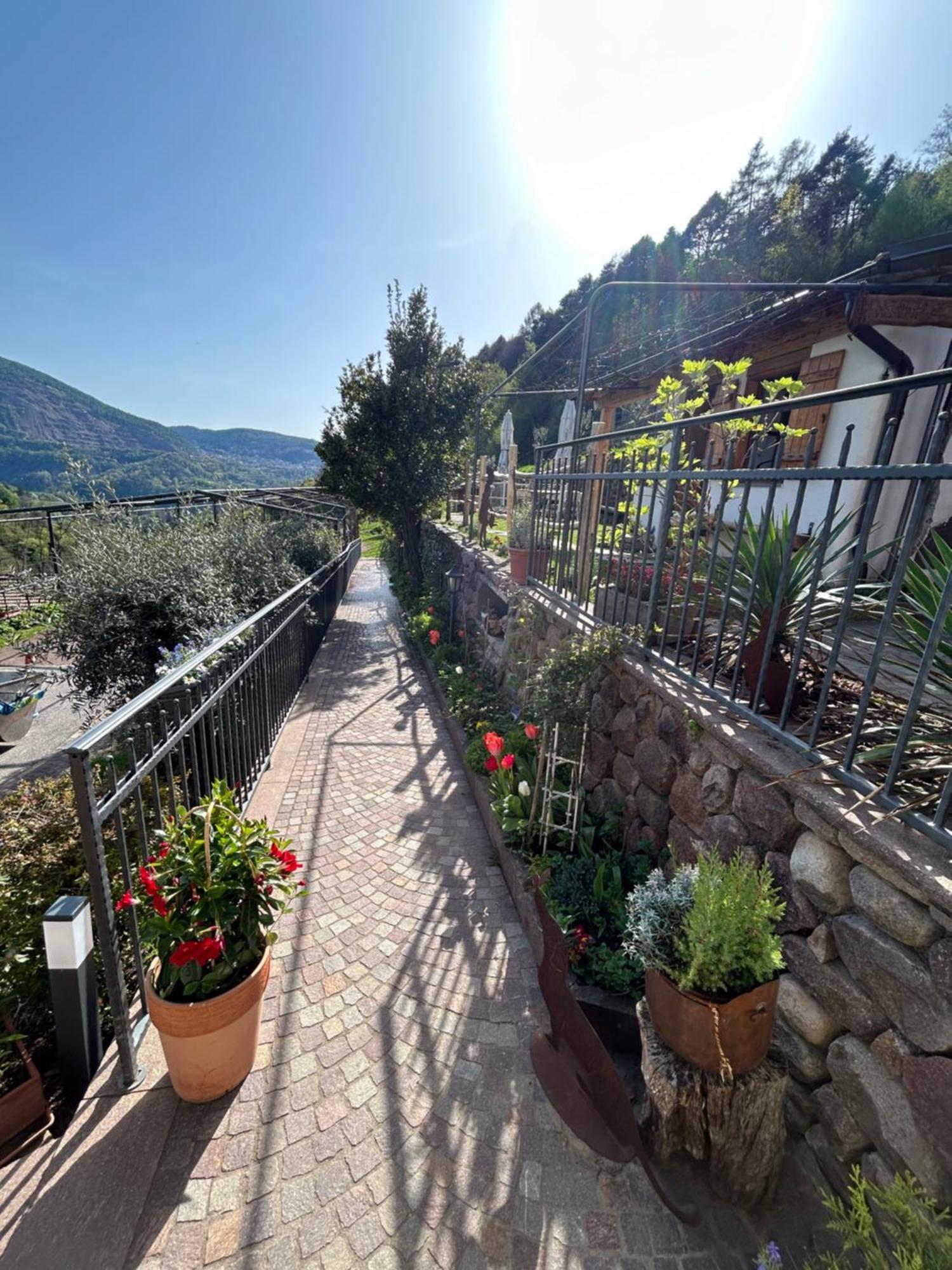 Agriturismo Valfraja Cembra Lisignago Ngoại thất bức ảnh