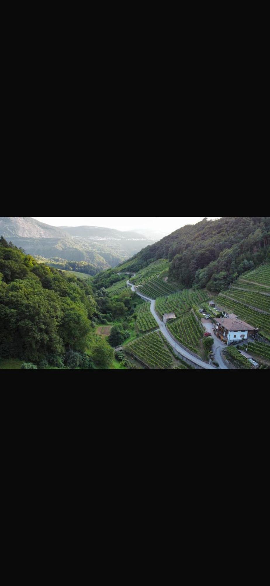 Agriturismo Valfraja Cembra Lisignago Ngoại thất bức ảnh