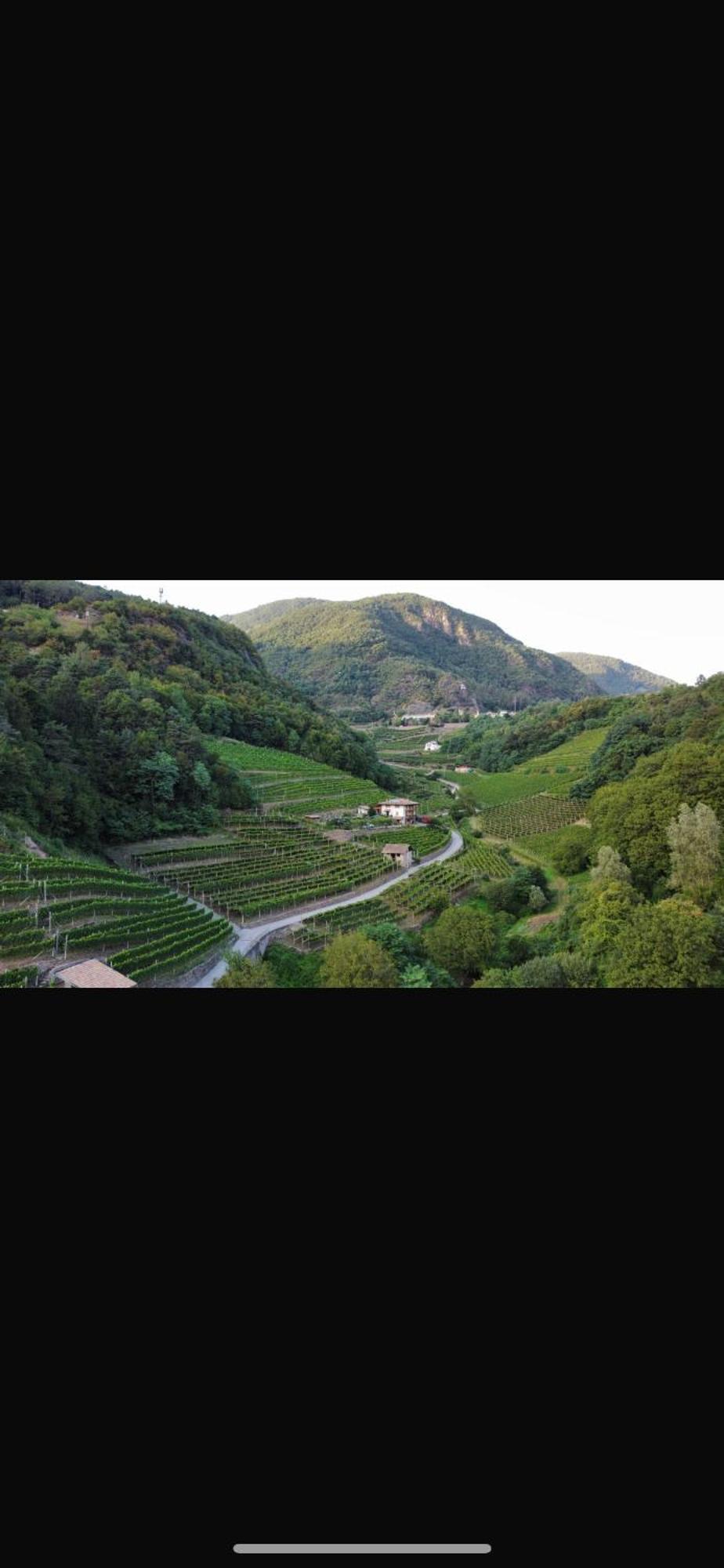 Agriturismo Valfraja Cembra Lisignago Ngoại thất bức ảnh