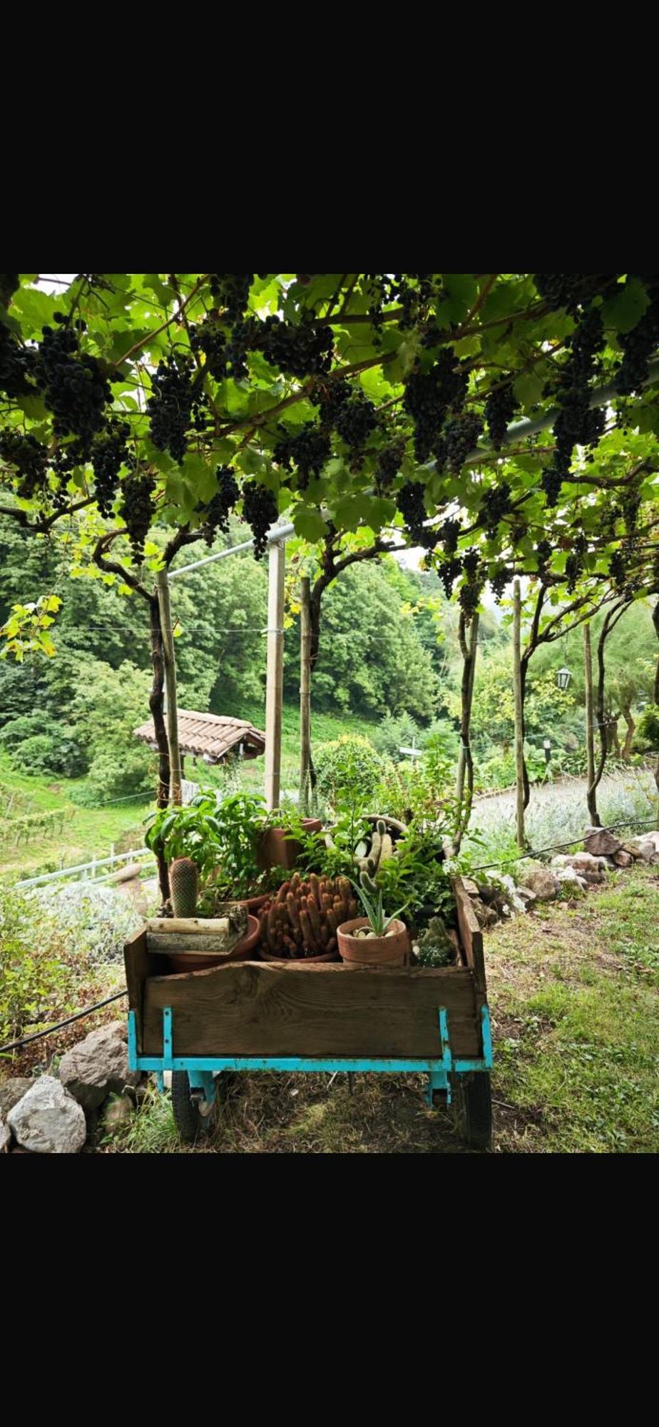Agriturismo Valfraja Cembra Lisignago Ngoại thất bức ảnh