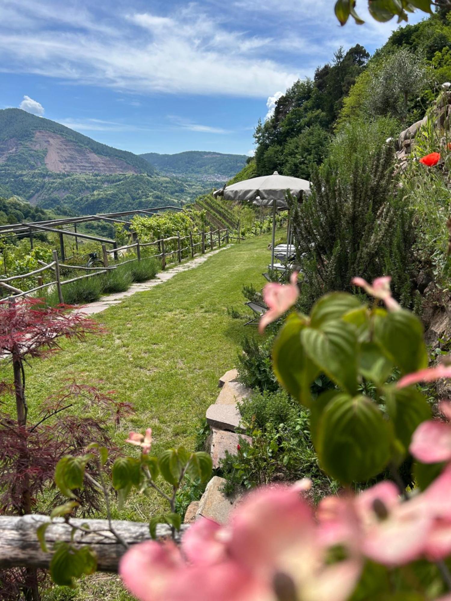 Agriturismo Valfraja Cembra Lisignago Ngoại thất bức ảnh